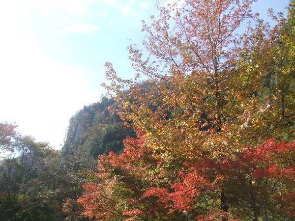 b0029704_2053811.jpg