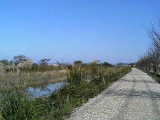 f0092906_20495794.jpg
