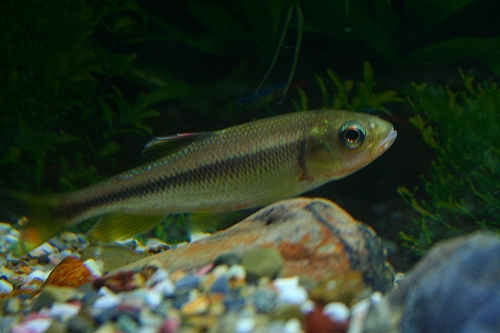 f0034007_2291665.jpg