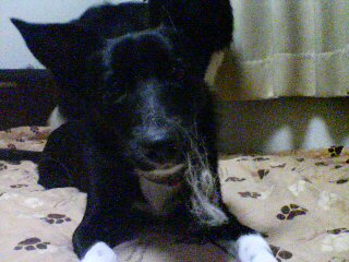 f0090009_8144426.jpg