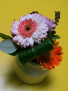 c0026612_1640549.jpg