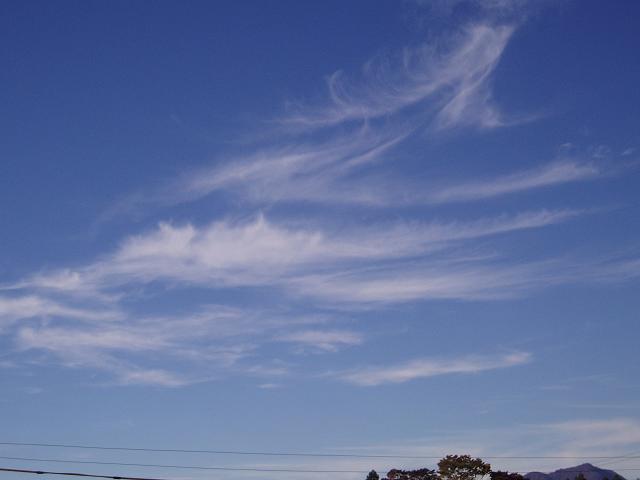 c0086014_22175721.jpg