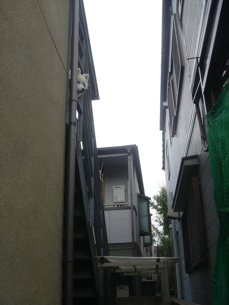 a0084916_11131412.jpg