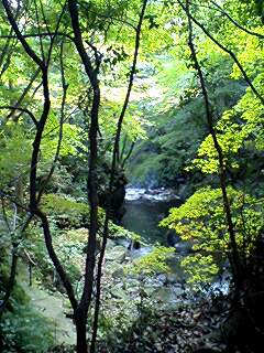 e0073418_21513764.jpg
