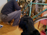 c0012120_1462315.jpg
