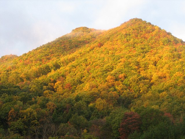 a0048323_22585072.jpg