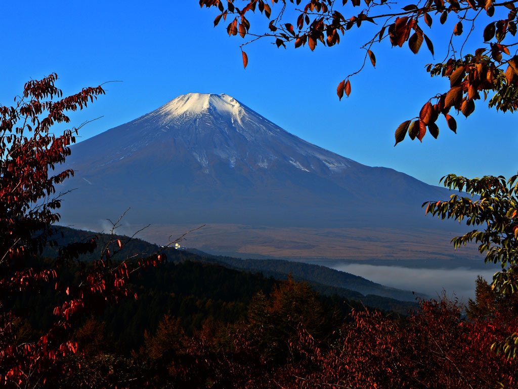 f0035323_22461264.jpg