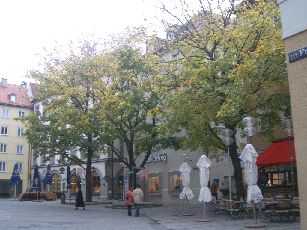 a0090126_2119208.jpg