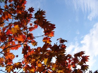 b0009029_084852.jpg