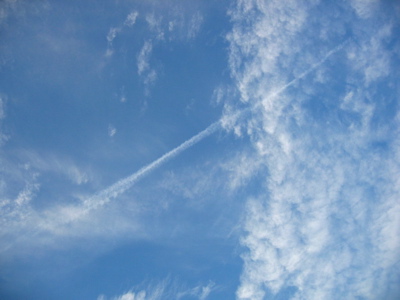d0085939_22414149.jpg