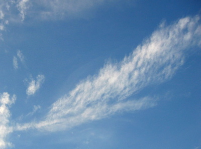d0085939_22423483.jpg