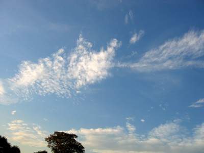 d0085939_22424472.jpg