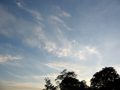 d0085939_22425996.jpg