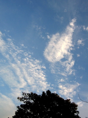 d0085939_2244102.jpg