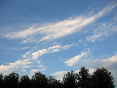 d0085939_22442878.jpg