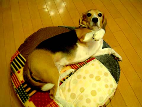 a0042044_0591071.jpg
