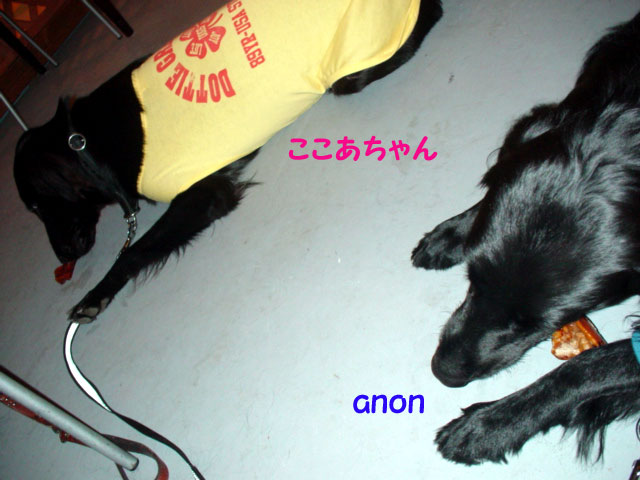 f0018144_12292162.jpg