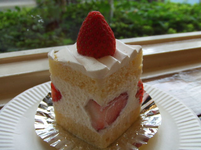 c0071545_21444910.jpg