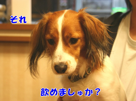 d0013149_0333848.jpg