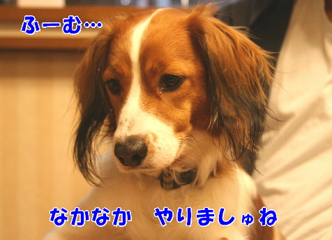 d0013149_0571797.jpg