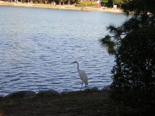 c0081552_12405255.jpg