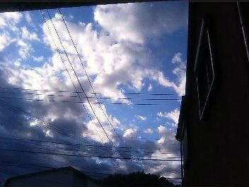 e0012954_21224728.jpg