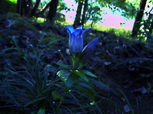 c0031856_1284417.jpg