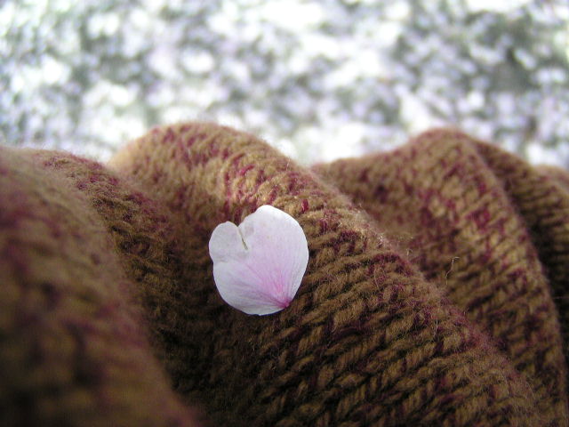 f0074659_23271111.jpg