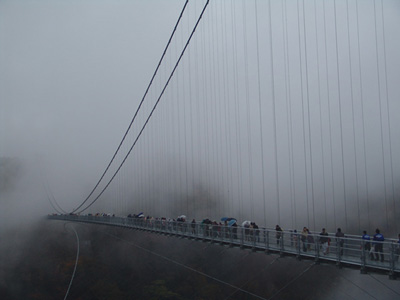 c0020563_5214876.jpg