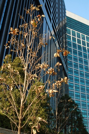 f0065768_17515144.jpg