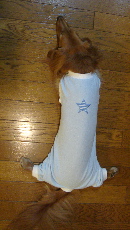 f0089568_14274776.jpg