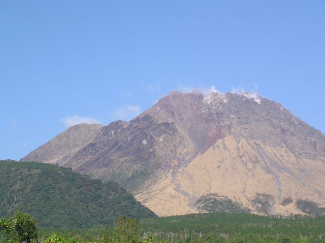 c0042869_942587.jpg