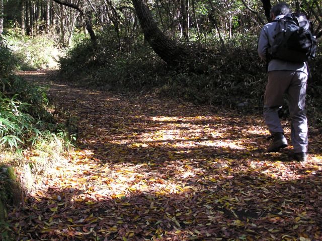 c0042869_943989.jpg