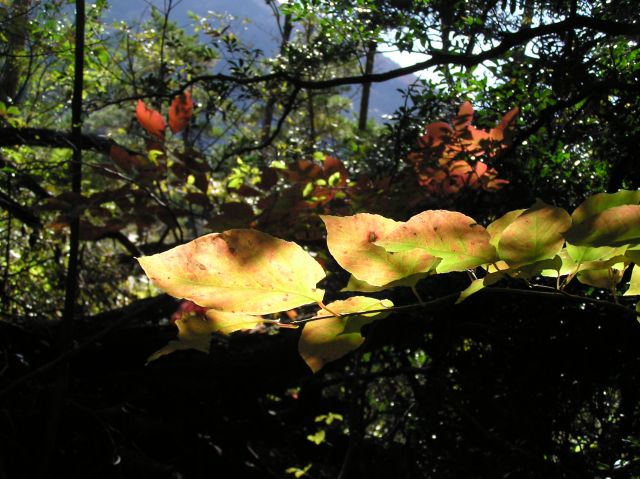c0042869_961230.jpg