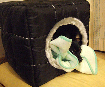 c0012571_15142219.gif