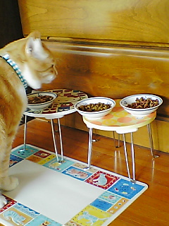 f0095271_16414864.jpg