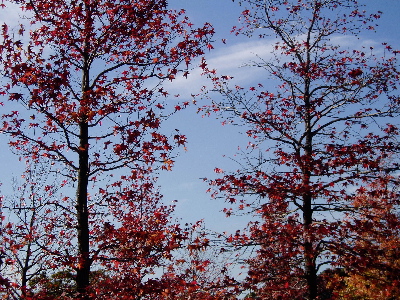 a0045872_21403057.jpg