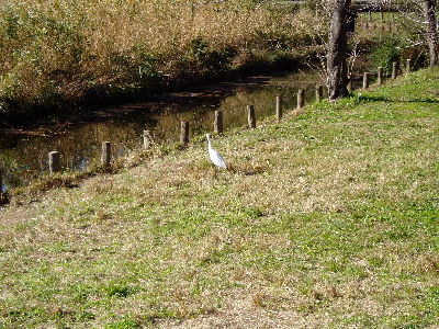 a0045872_21415582.jpg