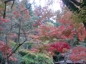 f0008573_22121273.jpg