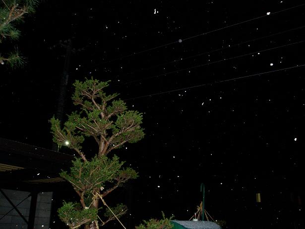 e0097377_20103191.jpg