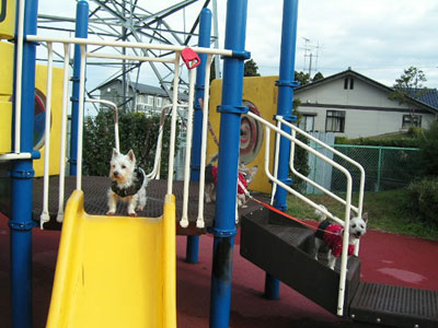 e0066883_18333520.jpg