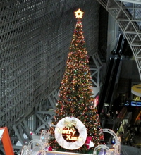 a0079292_15265354.jpg