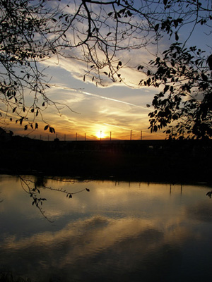 d0045295_23531386.jpg