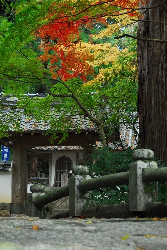 b0021897_040967.jpg