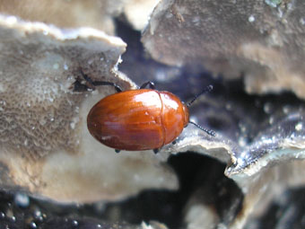 e0083097_20421017.jpg