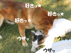 b0097898_21204266.jpg