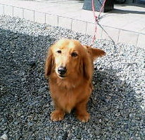 c0087001_164472.jpg