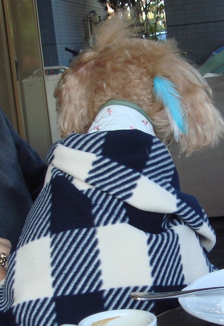 c0041207_17413984.jpg