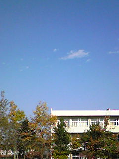 f0084010_2031386.jpg
