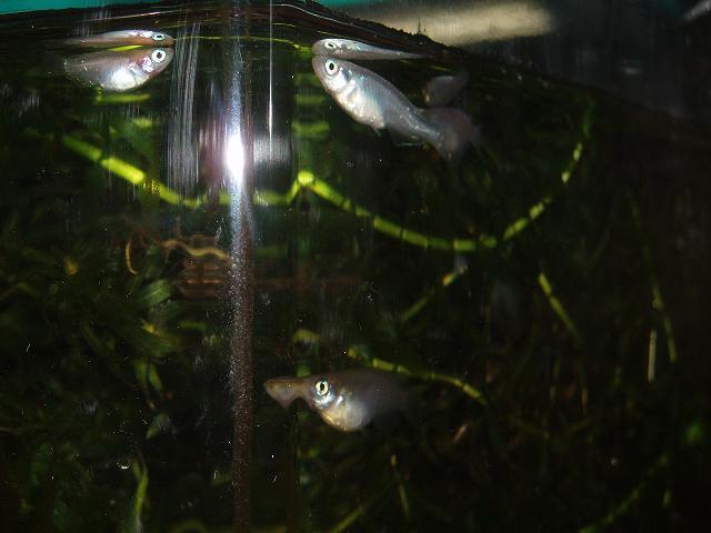 c0086014_23193052.jpg